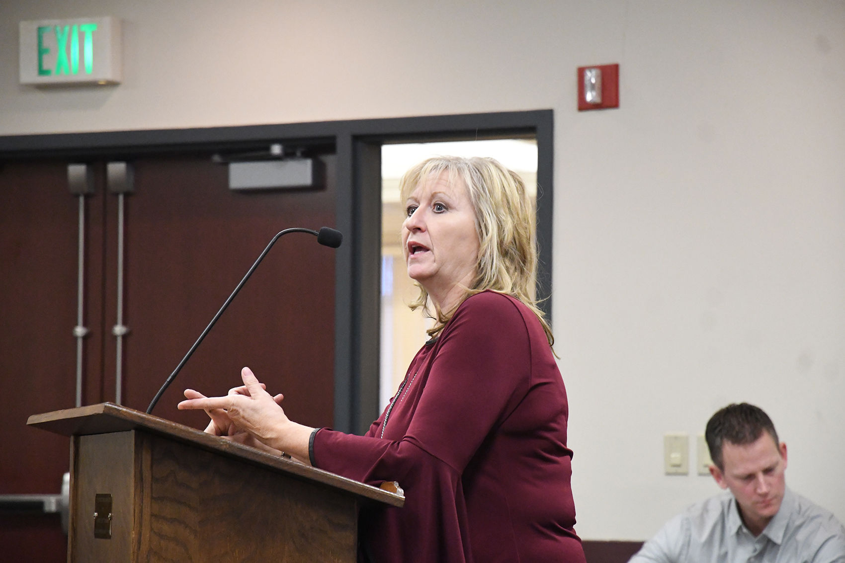 Kathy Sterler talks to council